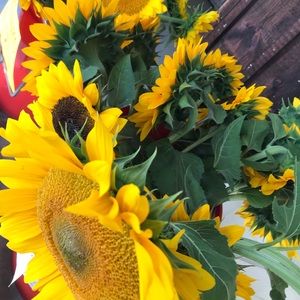 Meet your Posher, Alexa